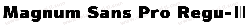 Magnum Sans Pro Regu字体转换